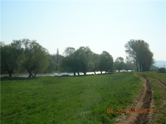 arčilend